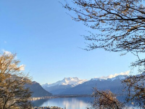 A fun stay in funky Montreux CH - Gallery - 5