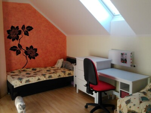 family house in Bratislava;  - Gallery - 12
