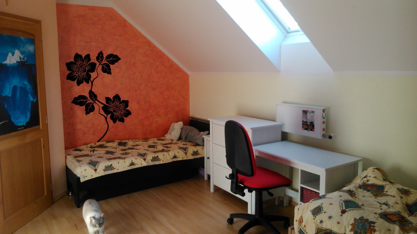 Room 2(Single Bed) - 1