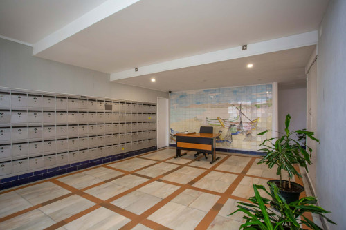 Praça Padre Manuel Bernardes - Gallery - 4