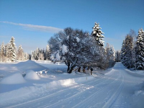 Idyllic and heartful accommodation - Gallery - 5