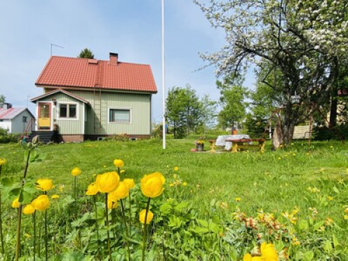 Toivola, Joroinen - Gallery - 34