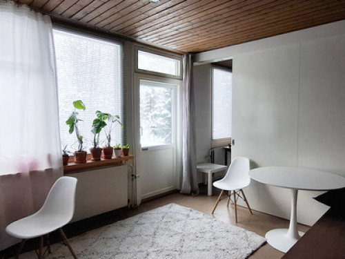 Room with a view.  - Gallery - 3