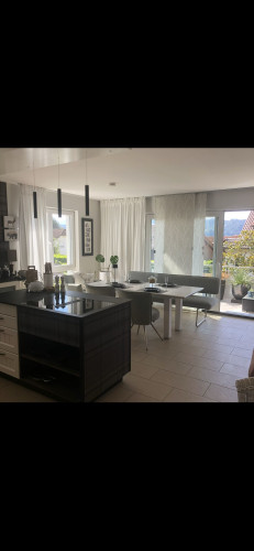 Comfortable apartment quiet yet central Bodman-Ludwigshafen)