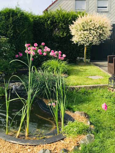 Quiet Family House with Fireplace & Garden - near Frankfurt