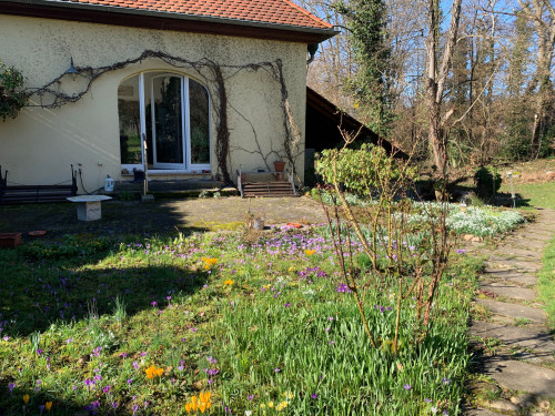 Semi-detached house in a green area in Bollschweil