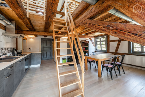 Beautiful and perfect loft in Horb am Neckar