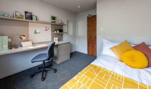 Myrtle Street  - Gallery -  3