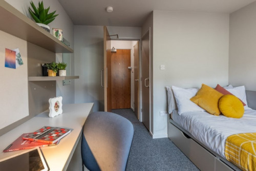 Myrtle Street  - Gallery -  4