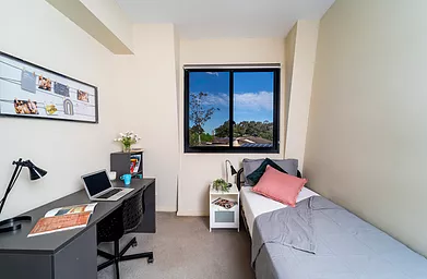 Premier Studio Room - Dayman Apartments - Gallery - 1