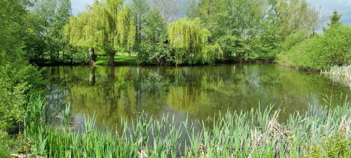 Fine Living - Haus am See