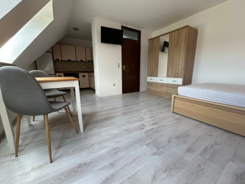 Cozy 1-Room Apartment near Schweinfurt | Free Parking - Gallery - 10