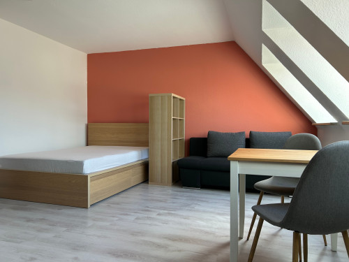 Cozy 1-Room Apartment near Schweinfurt | Free Parking - Gallery - 19