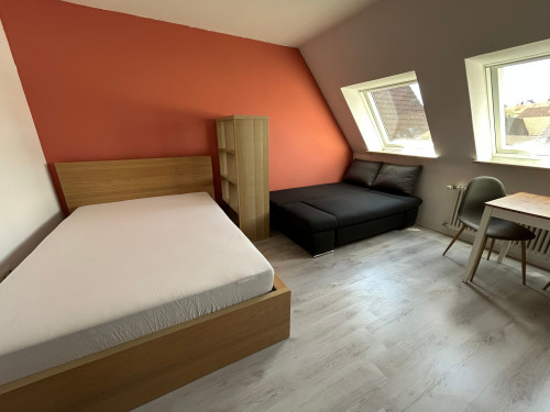 Cozy 1-Room Apartment near Schweinfurt | Free Parking - Gallery - 14