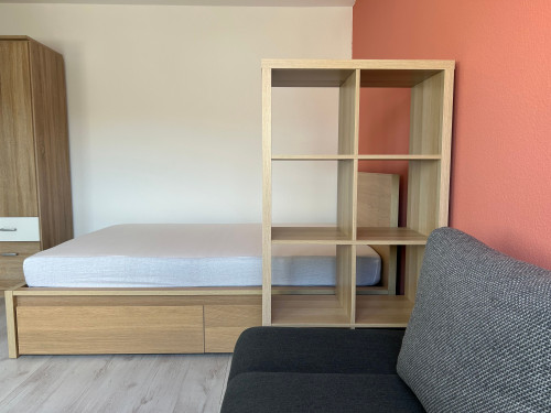 Cozy 1-Room Apartment near Schweinfurt | Free Parking - Gallery - 13