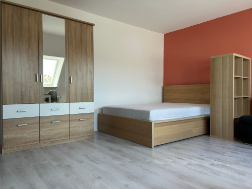 Cozy 1-Room Apartment near Schweinfurt | Free Parking - Gallery - 17
