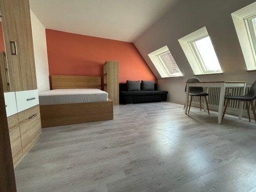 Cozy 1-Room Apartment near Schweinfurt | Free Parking