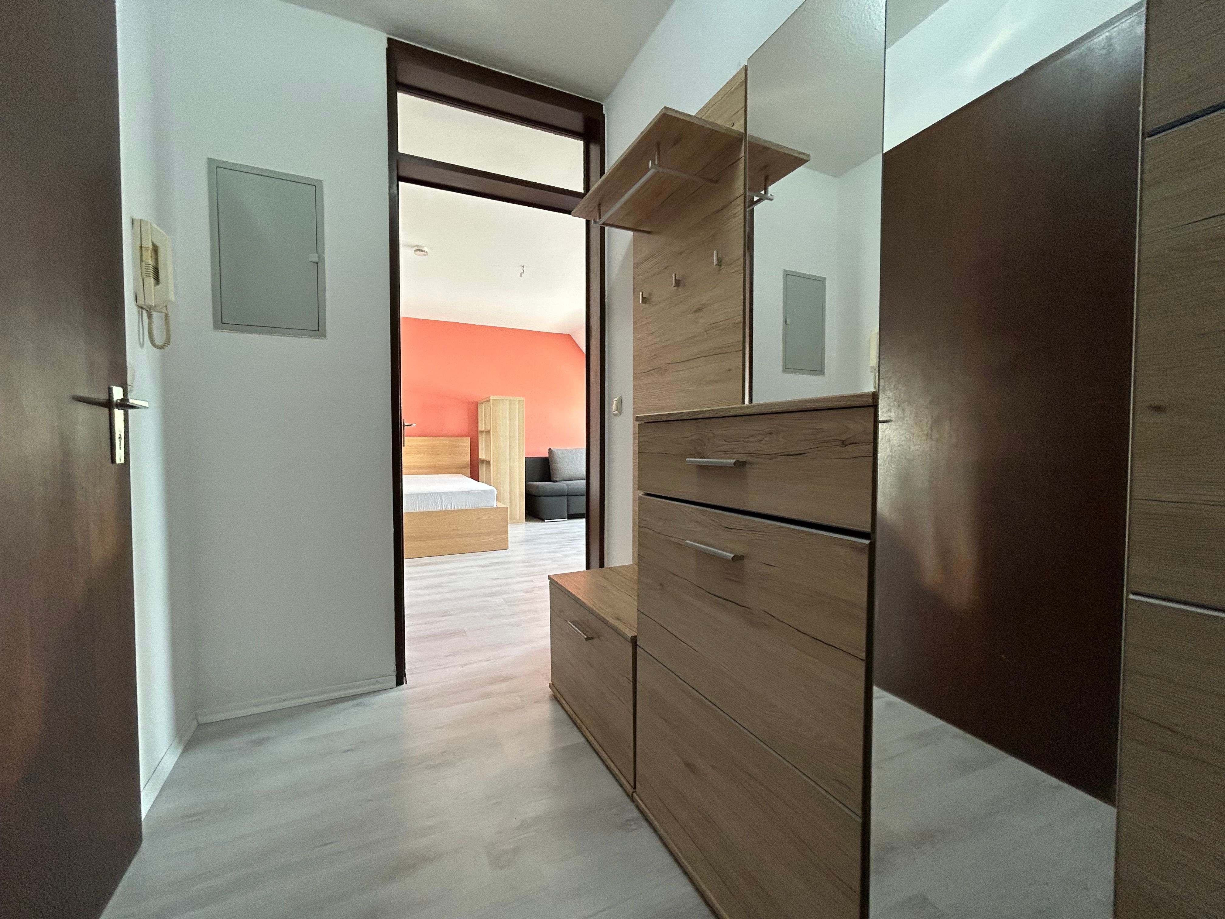 Cozy 1-Room Apartment Near Schweinfurt | Free Parking - 6