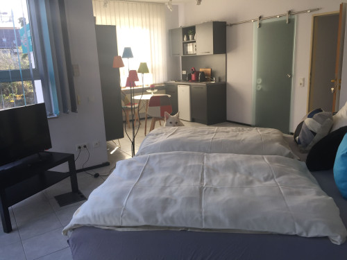 Quiet and gorgeous loft, Bexbach