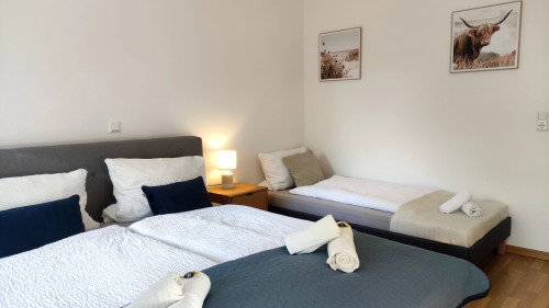 Apartment in City Center(Bad Schmiedeberg)