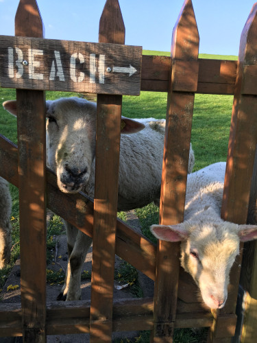 37ff563b87a3372da40337b1e4e1afea.jpeg