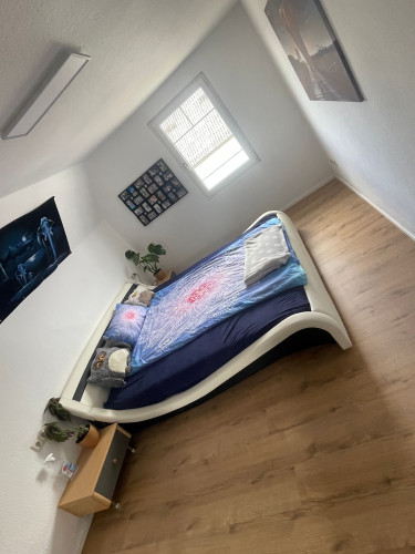 Cute suite in epic natur space
