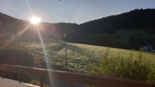 1cbc33f2b88512462282caa92ed295ec.jpeg