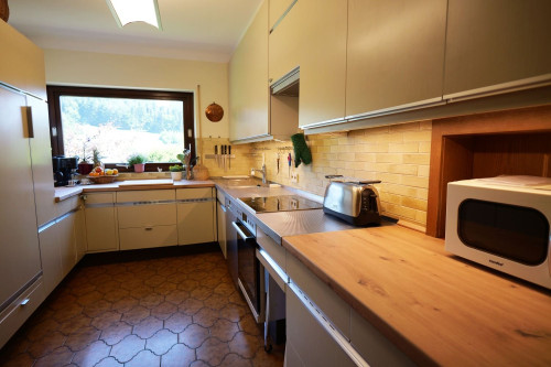 Luxurious apartment in a fantastic location in Seelbach