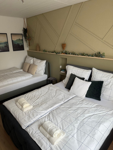 Beautiful flat with large terrace (Ubstadt-Weiher)
