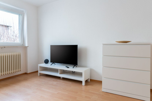 Bright, beautiful studio in March near Freiburg