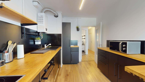 Room in Avenue Debourg, Lyon for 80 m² with 3 bedrooms - Gallery - 7
