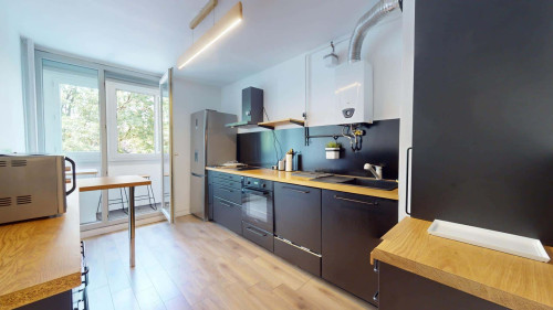 Room in Avenue Debourg, Lyon for 80 m² with 3 bedrooms - Gallery - 8