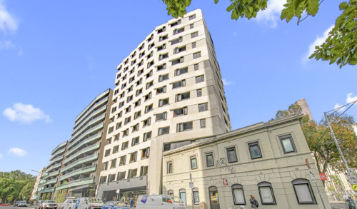 131 Pelham Street - Gallery - 5