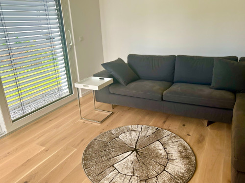 Würzburg: Exclusively and stylishly furnished new apartment in idyllic surroundings - WLAN - Parking