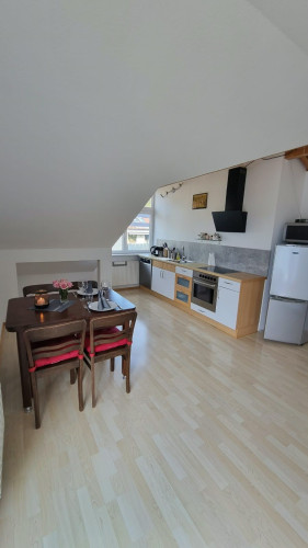 Bright 1-bedroom apartment in the center with balcony and lake view