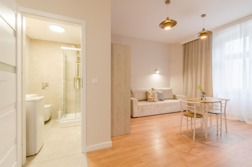 Studio apartment with a large mezzanine, 107 Pomorska Street - Gallery - 13