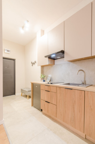 Studio apartment with a large mezzanine, 107 Pomorska Street - Gallery - 12