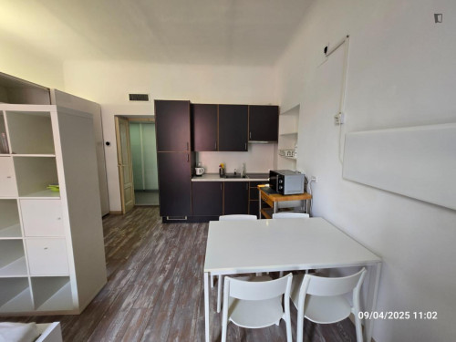 Typical 1-bedroom apt near Bocconi with all comforts 1 double 1 single bed - Gallery - 18
