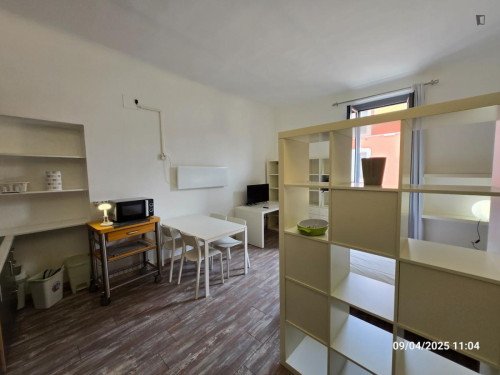 Typical 1-bedroom apt near Bocconi with all comforts 1 double 1 single bed