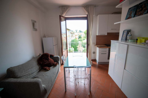 Apartment in Viale Aleardo Aleardi, Firenze for 40 m² with 1 bedroom - Gallery - 4