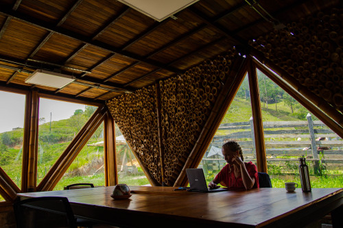 Stunning Countryside House w/ Coworking + Yoga Studio  - Gallery -  5