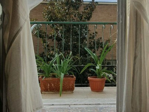 Magnolia view - Gallery - 3