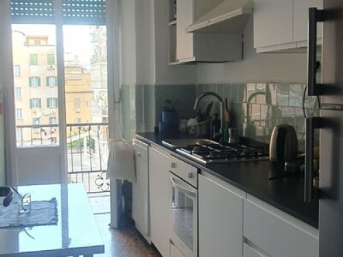 Magnolia view - Gallery - 10