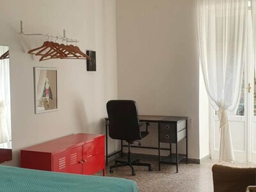 Magnolia view - Gallery - 2