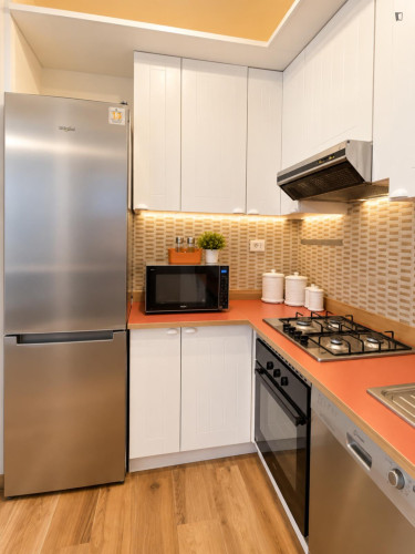 Single Bedroom in a shared Apartment in Rome EUR - Gallery - 15