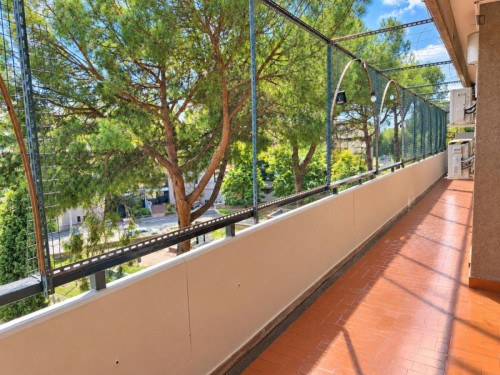 Bright Single Bedroom in Rome EUR - Gallery - 2