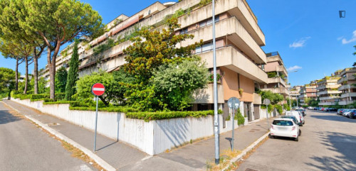 Bright Single Bedroom in Rome EUR - Gallery - 5