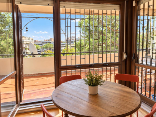 Bright Single Bedroom in Rome EUR - Gallery - 17