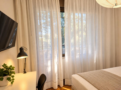 Bright Single Bedroom in Rome EUR - Gallery - 13