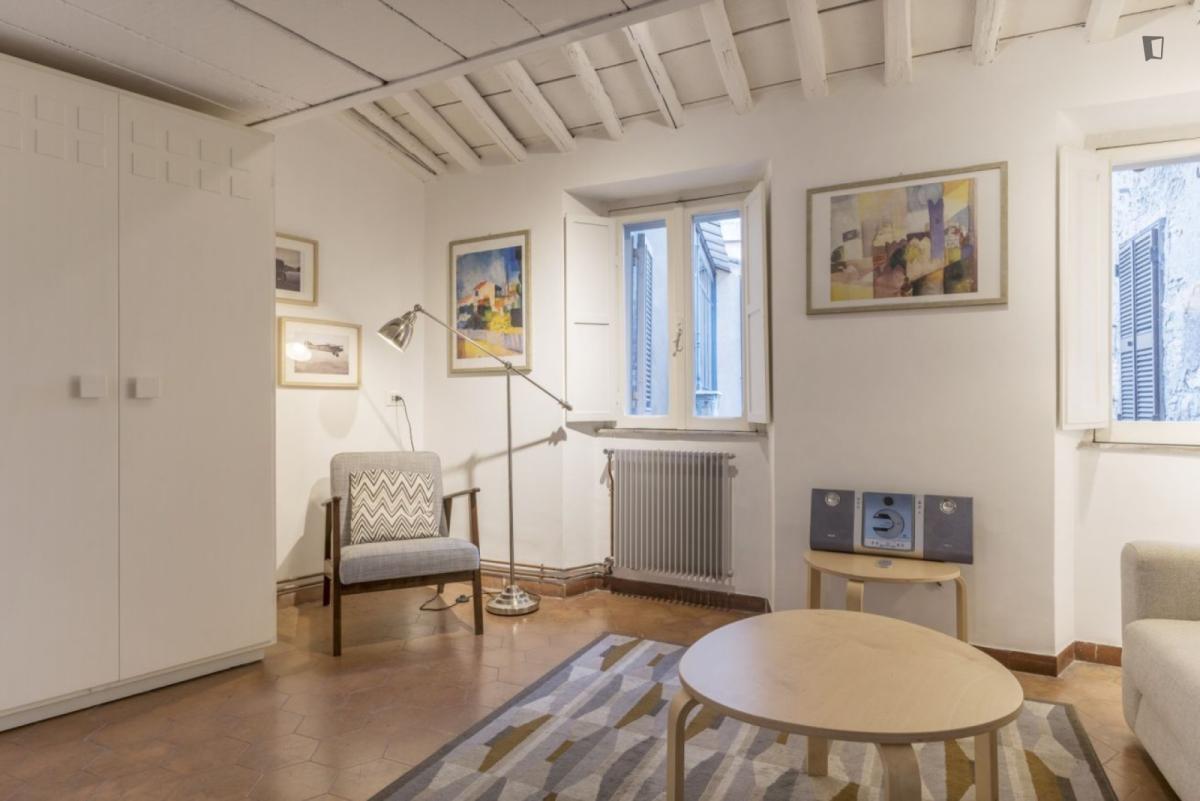 Cool 1-Bedroom Flat In The Centre Of Rome - 14